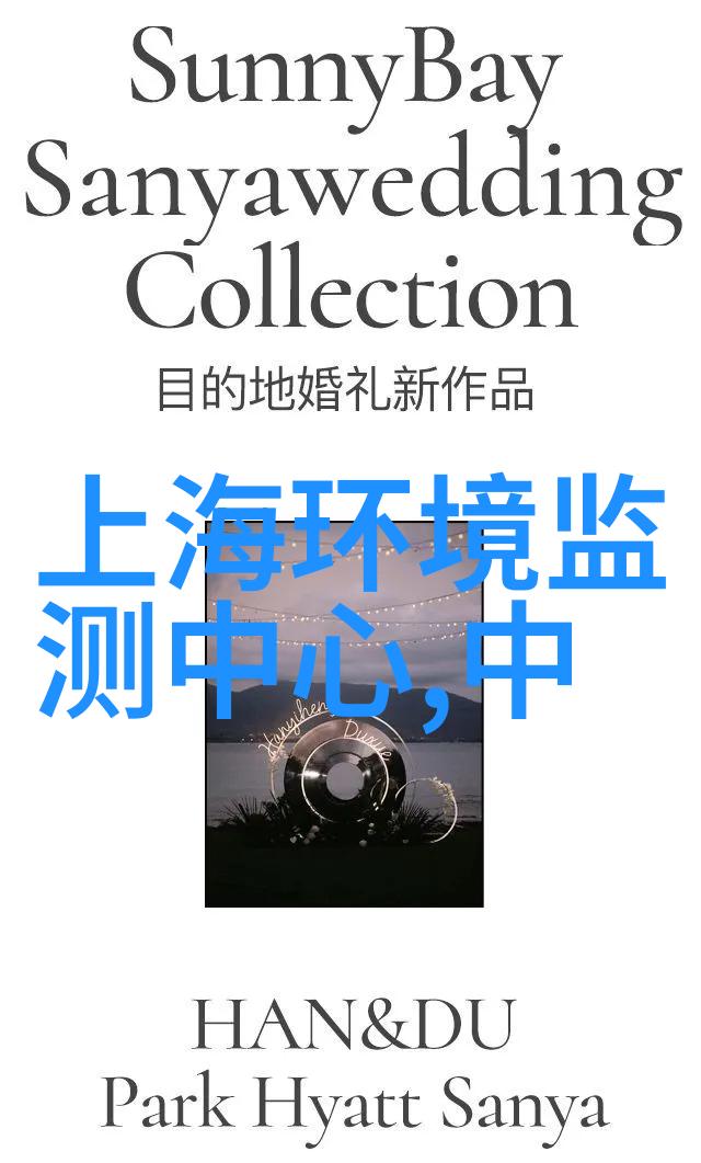 PVC全自动单过硫酸氢钾加药装置厂家直销