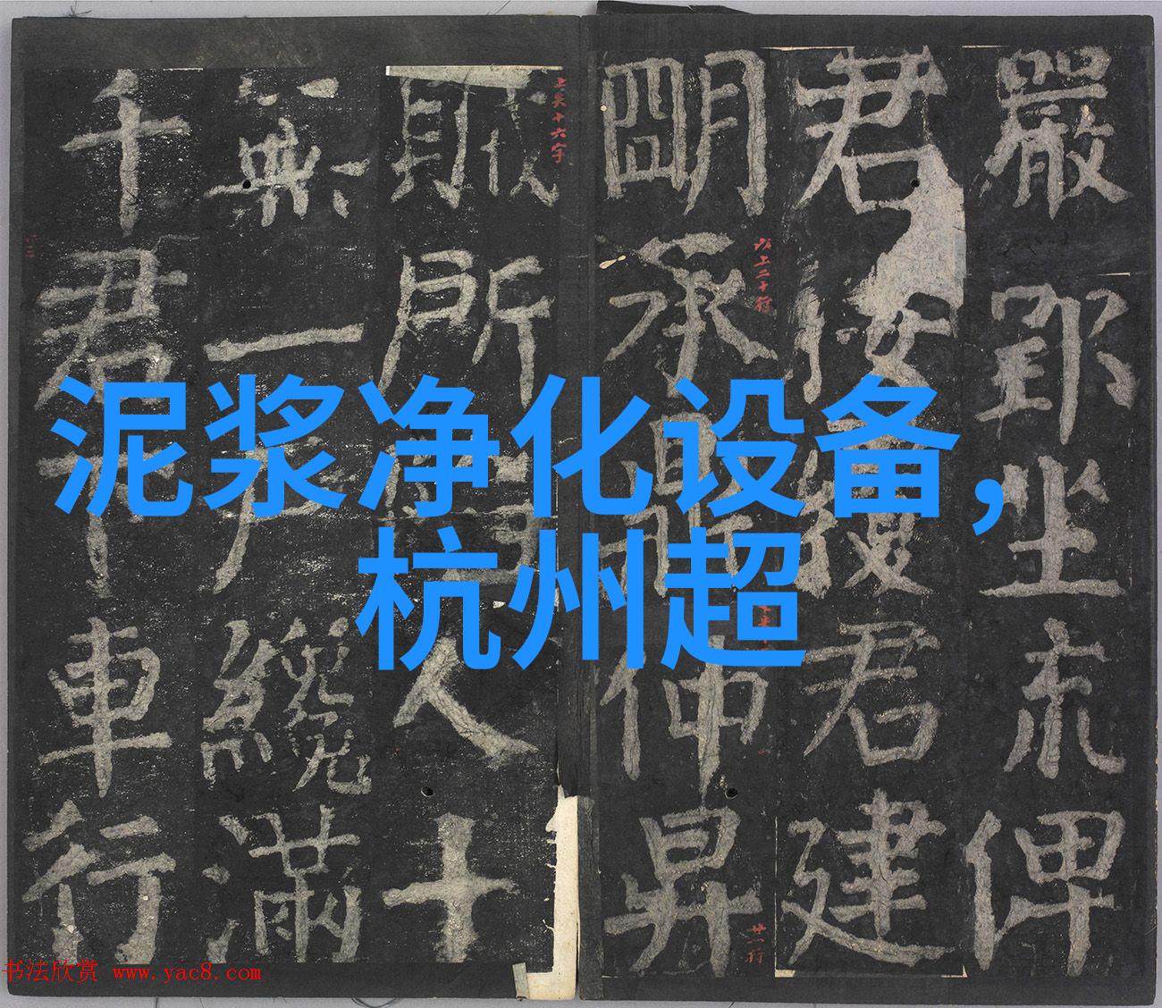 高效浅层气浮装置