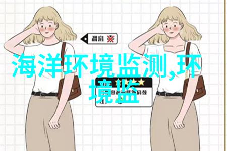 关于进一步加强上海市生态环境监测机构综合监管的实施方案