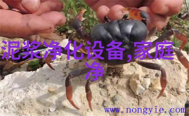 离子交换器报价